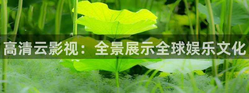 青丝影院怎么免费看剧：高清云影视：全景展示全球娱乐文化