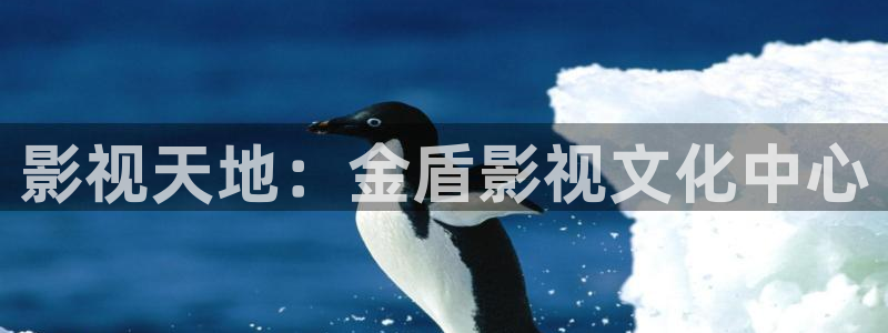 青丝影院免费观看电视剧大全：影视天地：金盾影视文化中心