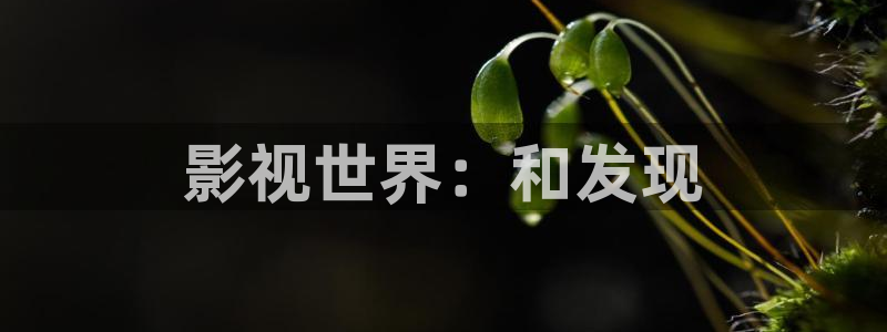 青丝影院在线观看全集免费：影视世界：和发现