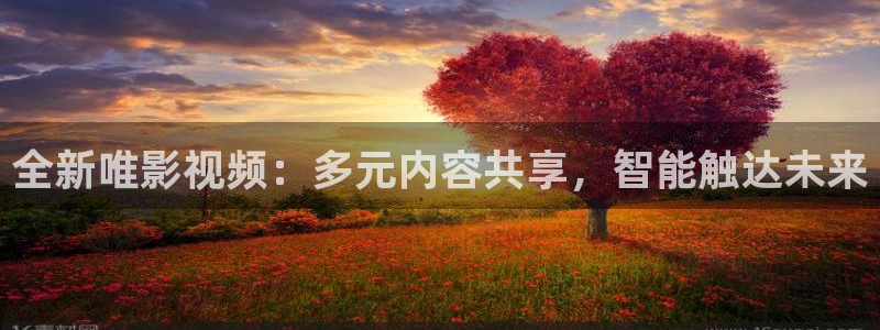 青丝影视大全在线观看国语版：全新唯影视频：多元内容共享，智能触达未来